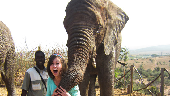 Northwestern student with an elephant