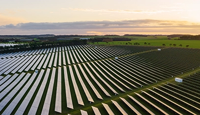 Picture of solar panels