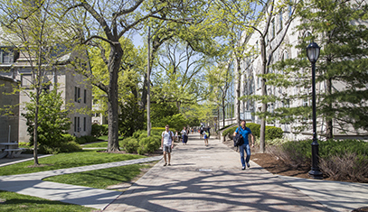 students walking down a tree-lined path